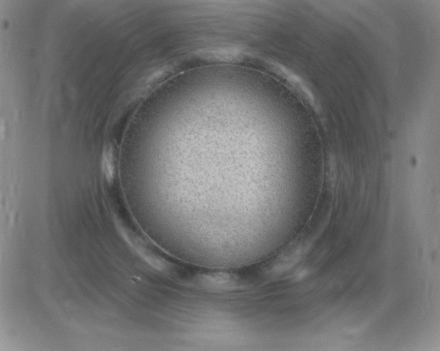 X0000081400069200701252140