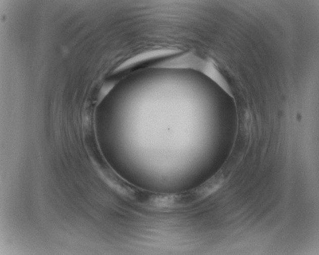 X0000081400084200701252140