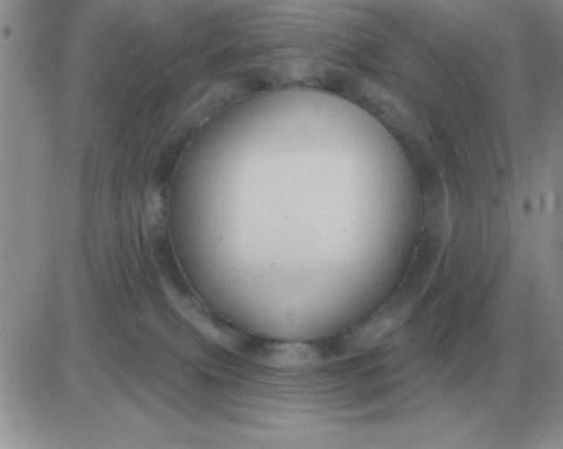 X0000081400087200701252140