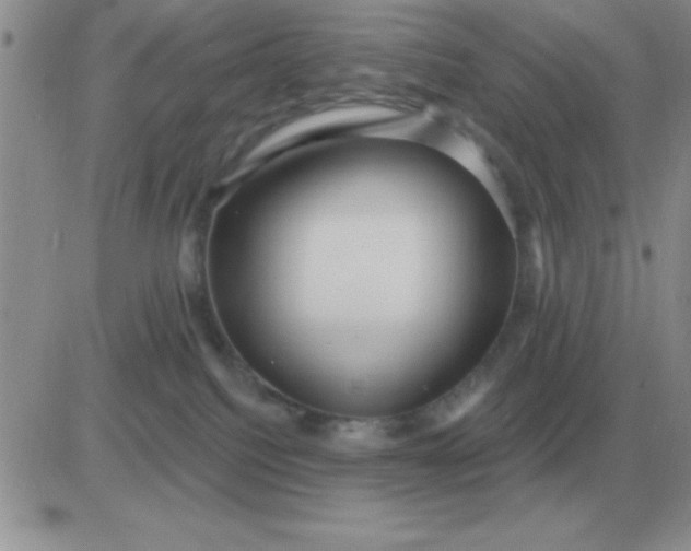 X0000081400088200701252140