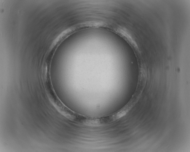 X0000081400110200701252139