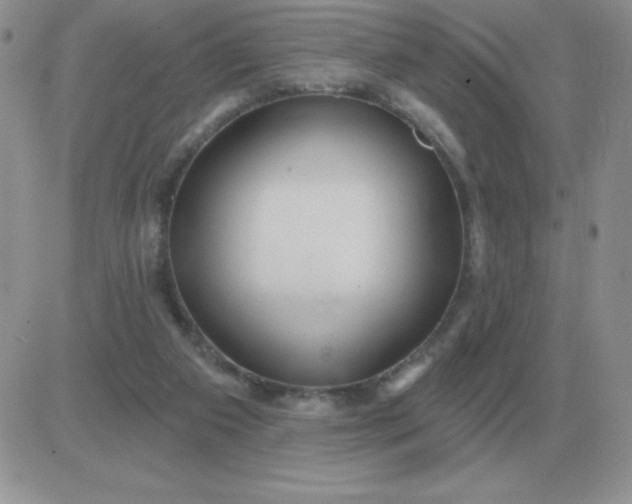 X0000081400113200701252139