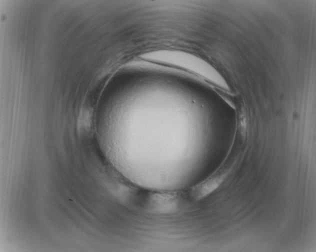 X0000081400139200701252139