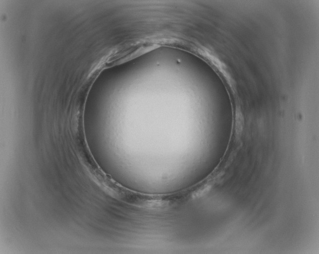 X0000081400153200701252138