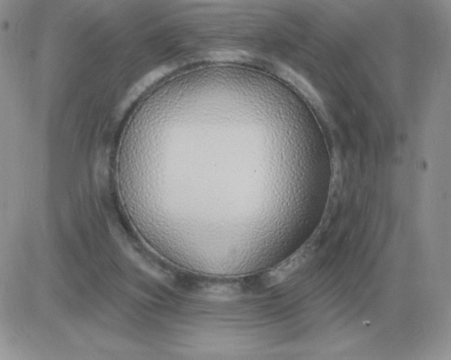 X0000081400155200701252138
