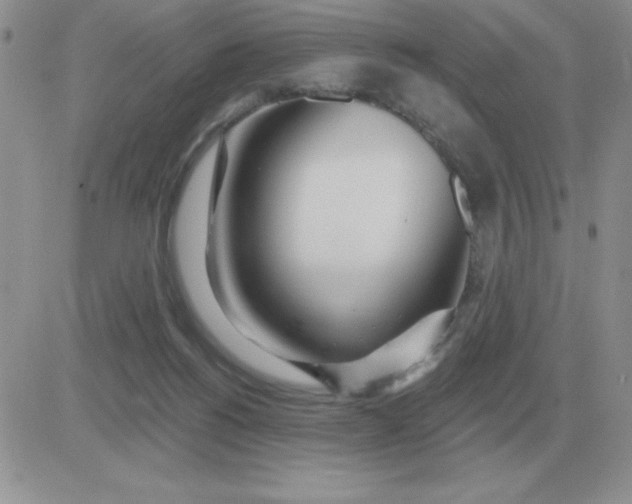 X0000081400168200701252138