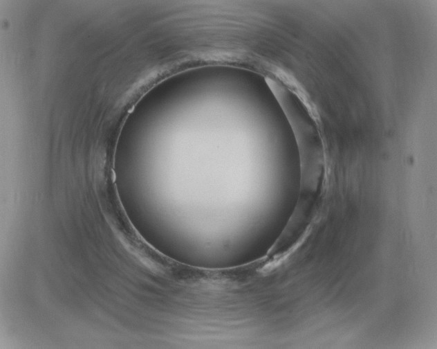 X0000081400201200701252138