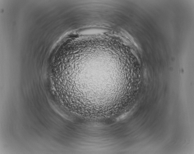 X0000081400203200701252138