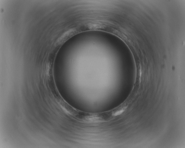 X0000081400219200701252137