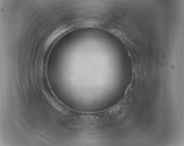 X0000081400242200701252136