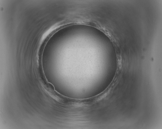 X0000081400246200701252136
