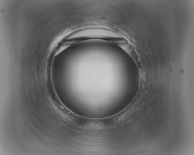 X0000081400248200701252136