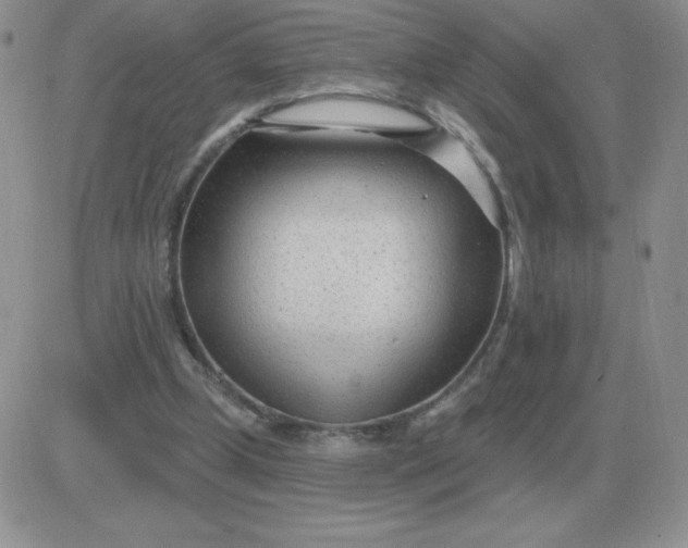 X0000081400249200701252136