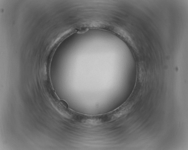 X0000081400251200701252136