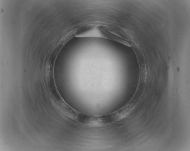 X0000081400263200701252137