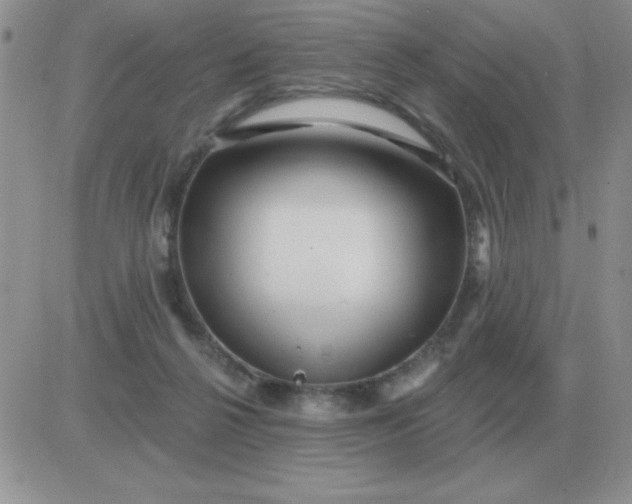 X0000081400264200701252137