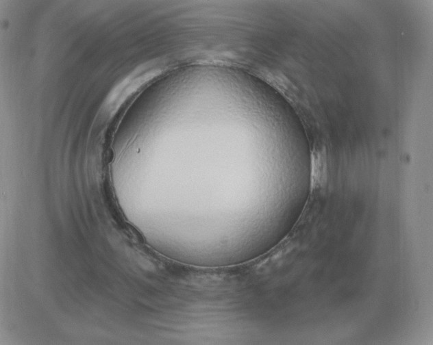X0000081400291200701252136