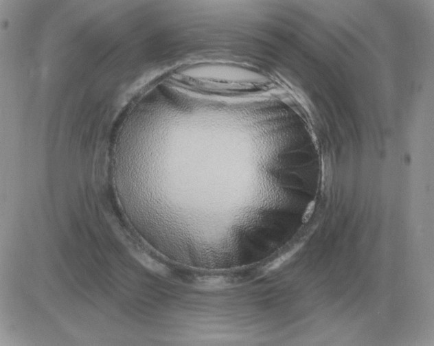 X0000081400301200701252136