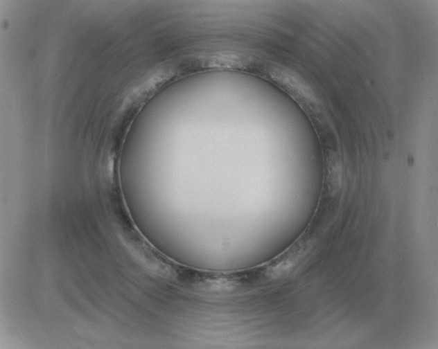 X0000081400310200701252136