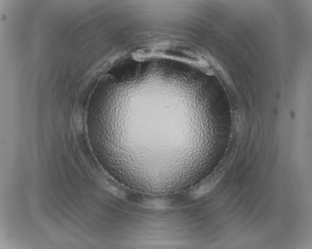 X0000081400313200701252136