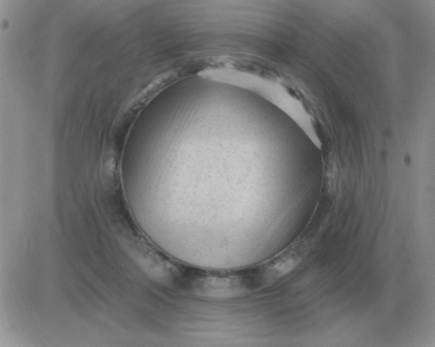 X0000081400314200701252136