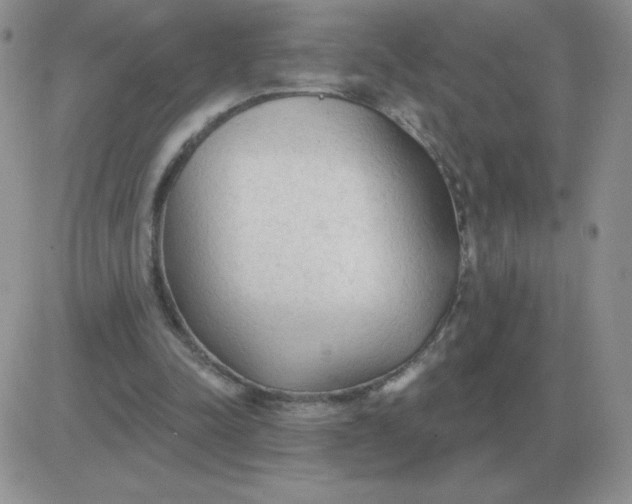 X0000081400342200701252135