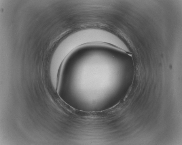 X0000081400356200701252135