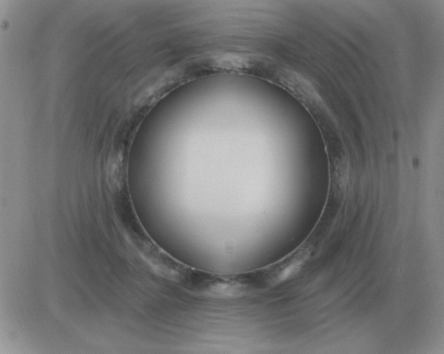 X0000081400364200701252135
