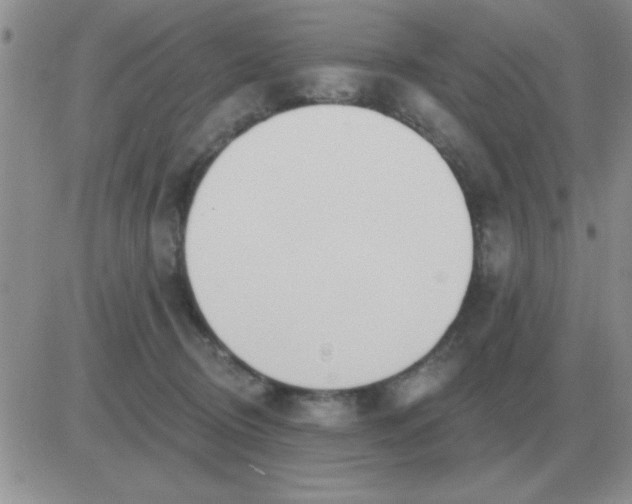 X0000081400370200701252135