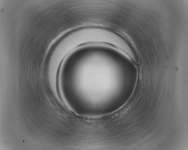 X0000081400388200701252135