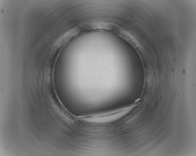 X0000081400402200701252134