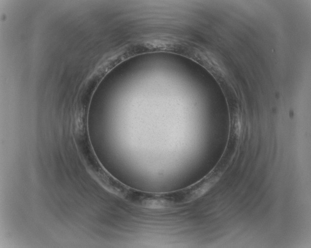 X0000081400408200701252134