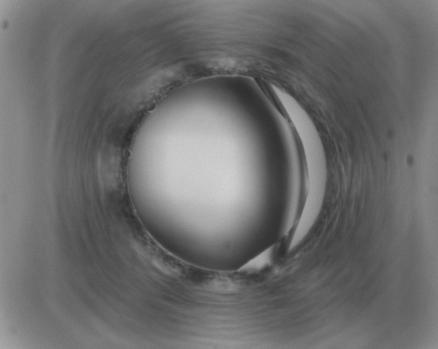 X0000081400416200701252134