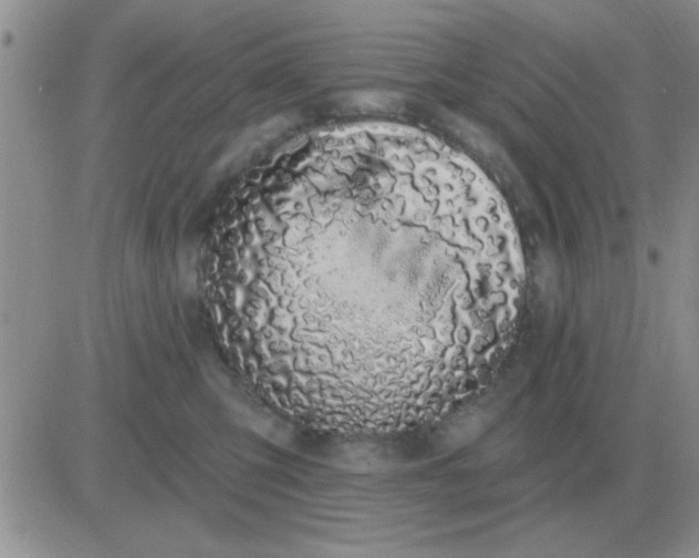 X0000081400423200701252134