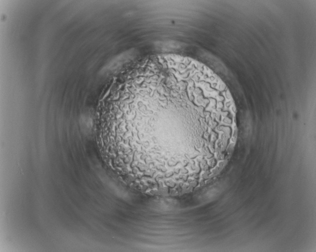 X0000081400427200701252134