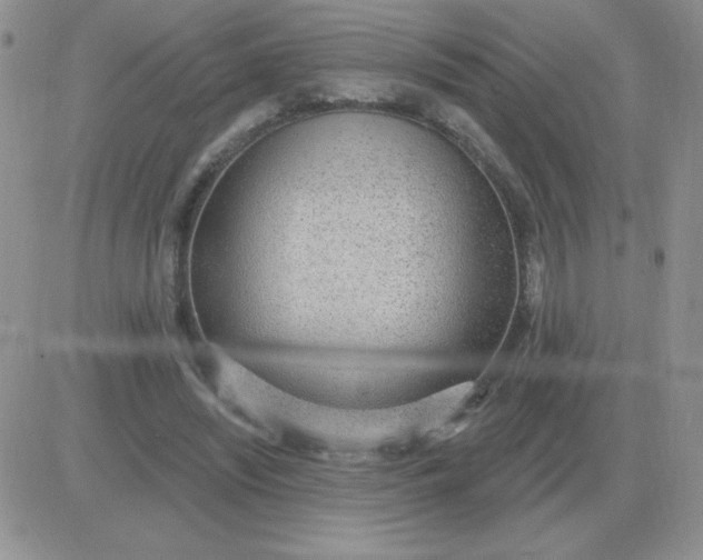 X0000081400444200701252133