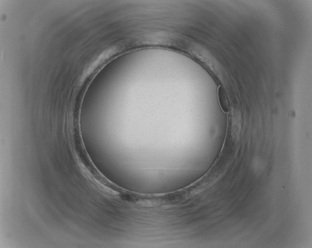 X0000081400482200701252133