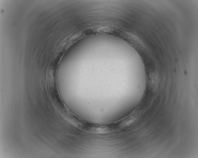 X0000081400506200701252133