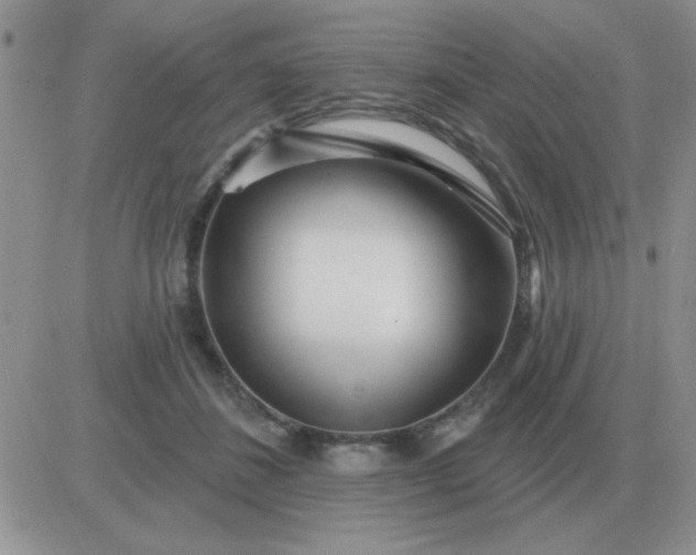 X0000081400508200701252133