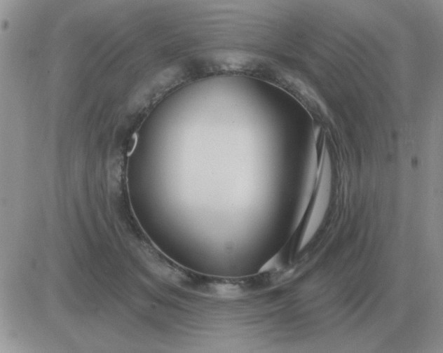 X0000081400509200701252133