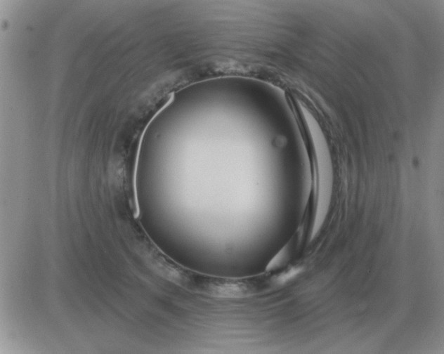 X0000081400513200701252133