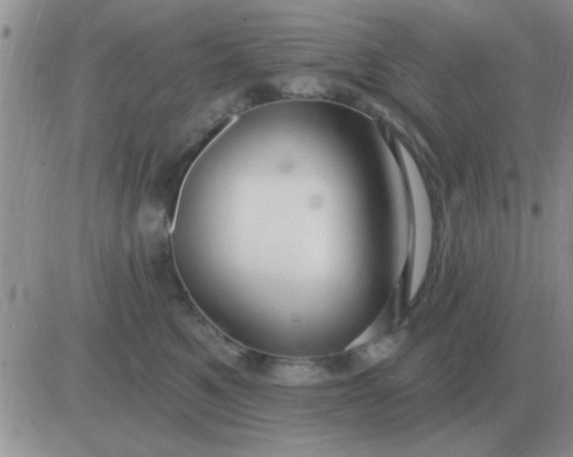 X0000081400521200701252133