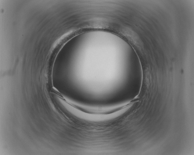 X0000081400536200701252132