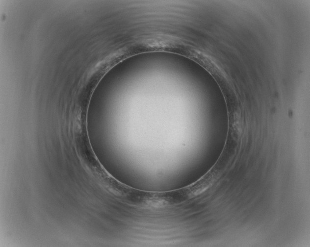 X0000081400547200701252132