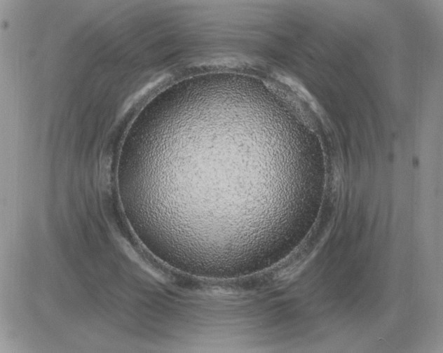 X0000081400585200701252131