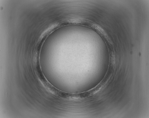 X0000081400586200701252131