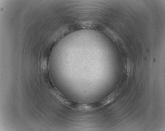 X0000081400610200701252131