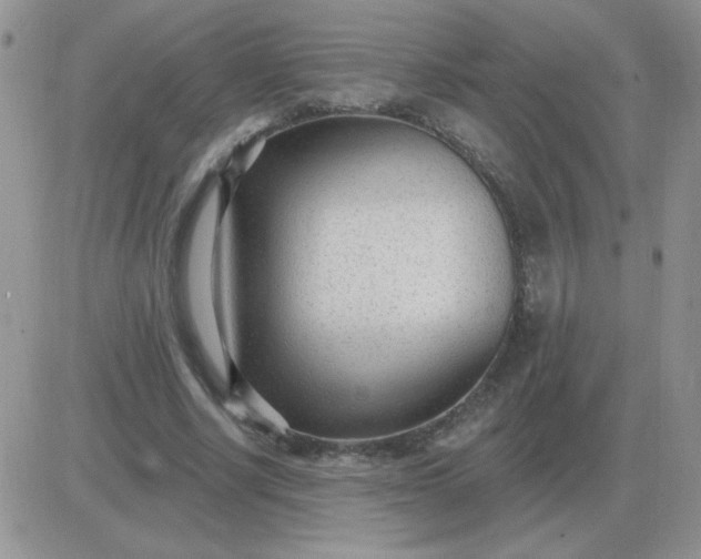 X0000081400634200701252130