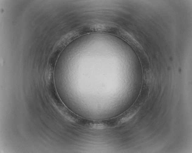 X0000081400645200701252130