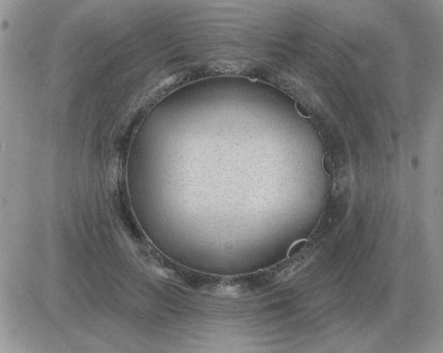 X0000081400647200701252130